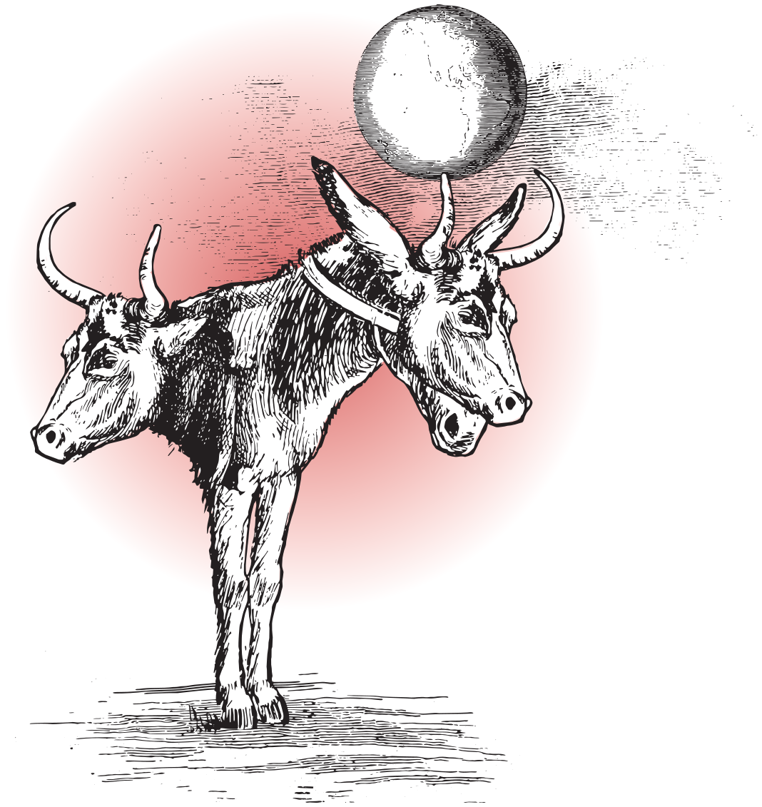 The bull beneath the world